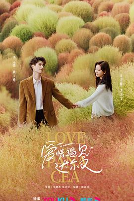 北海盐城seo优化企业